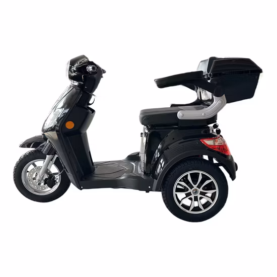 Electric Three Wheel off-Road Vehicle Cross-Country Motorcycle All Terrain Beach Vehicle 6000W Racing Large Electric ATV