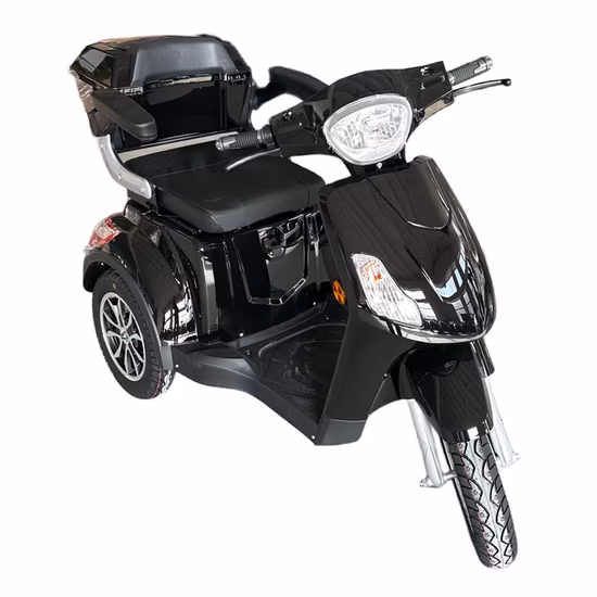 Electric Three Wheel off-Road Vehicle Cross-Country Motorcycle All Terrain Beach Vehicle 6000W Racing Large Electric ATV